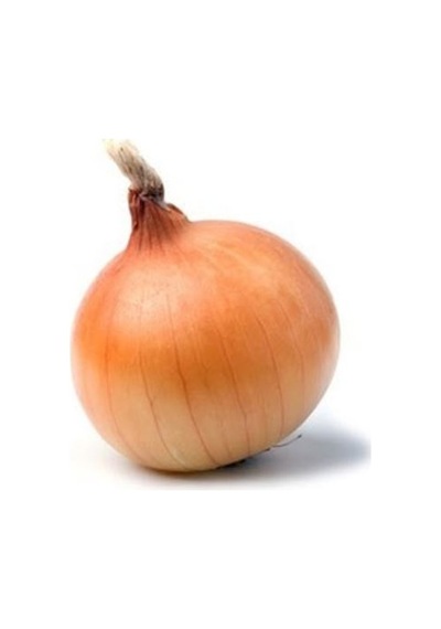 Kuru Soğan 10 KG
