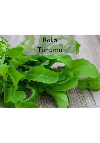 6 Paket Tohum No2 Yeşillik Tohumları Bitki Tohumları Maydanoz Tohumu Roka Tohumu Dereotu Tohumu ...