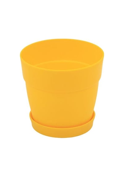 Poliwork Tabaklı Kaktüs Saksı Mix 0,11 Lt 65 60 Mm 32328980