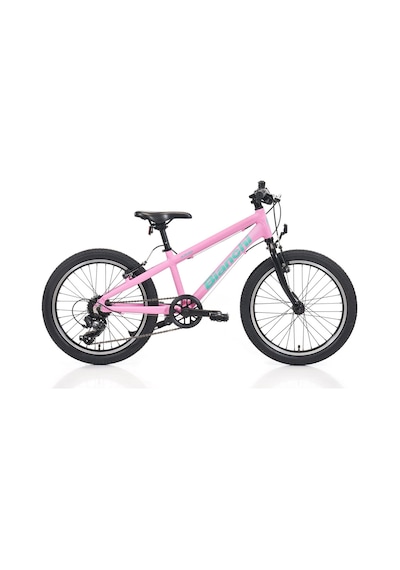 Bıanchı Xr20 Kız Çocuk Bisikleti 280h V 20 Jant 7 Vites Shımano 9w Pembe Yeşil Çok Renkli