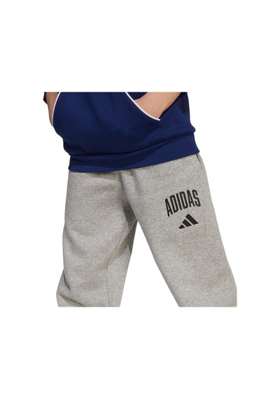 Adidas Çocuk Eşofman Altı J Clgt Fl Pnt Jw2386 Gri