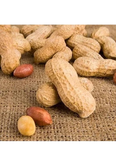 Kabuklu Fıstık (2 KG )