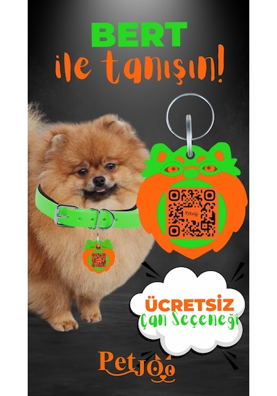 Petjoo 13.Bert Turuncu-Yeşil Qr'lı Köpek Künyesi