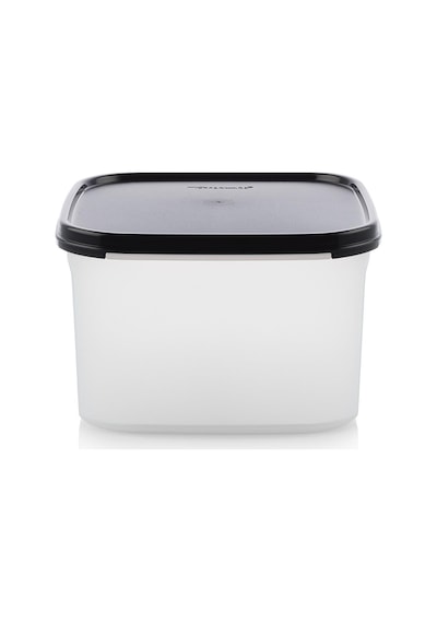 Tupperware Modüler Kuru Gıda Saklama Kabı 2.6L