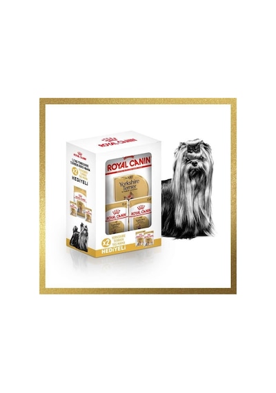 Royal Canin Yorkshire Hediye Kutulu Yetişkin Köpek Maması 1500 G