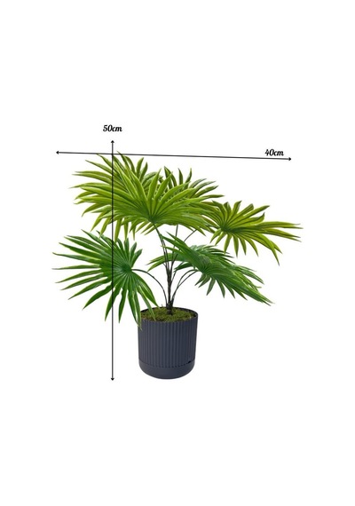 Yapay Salon Bitkisi Fan Palmiye 50 40cm 8yaprak Plastik Antrasit Saksıda Yeşil