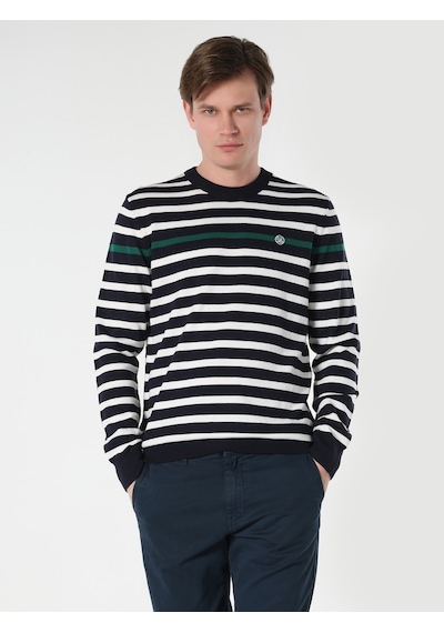 Colin's Regular Fit Bisiklet Yaka Çizgili Lacivert Erkek Kazak CL1064501_Q1.V1_NAV