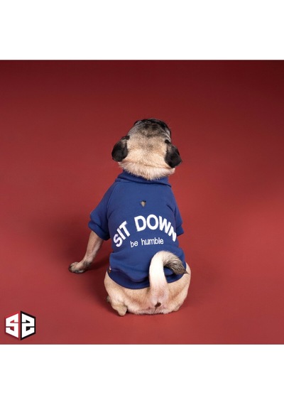Salya Store Be Humble College Ceket Köpek Kıyafeti Köpek Ceketi