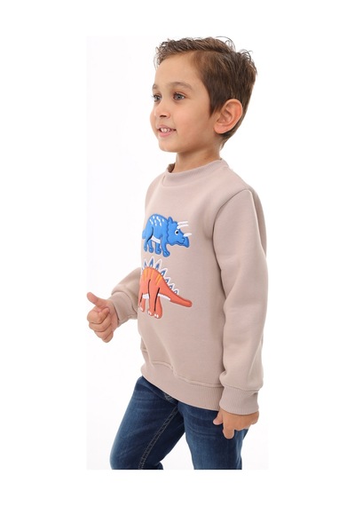 Toontoy Kids Toontoy Erkek Çocuk Nakışlı Sweatshirt Bej