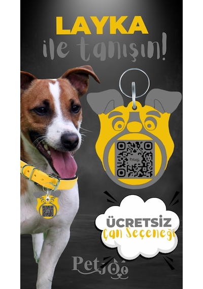 Petjoo 22.Layka Gri-Sarı Qr'lı Köpek Künyesi