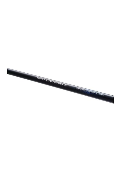 Rod Salty Advance Spinning Seabass2,90m 9'6''6-32g