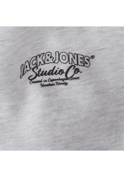 Açık Gri Jack & Jones Erkek Bisiklet Yaka Sweatshirts 12262880 001