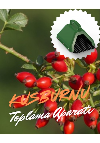 Kuşburnu Toplama Aparatı Metal Tırnaklı Plastik Bsr Garden