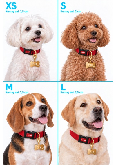 Caramelos İsimli Köpek Tasması, Ayarlanabilir Yavru, Mini, Orta Ve Büyük Irk Köpek Tasması, Kırmızı