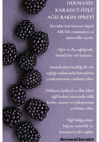 Dermanel Ağız Bakım Spreyi 100 ML