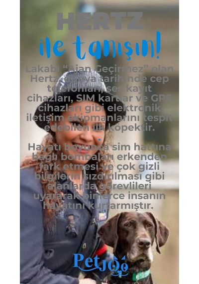Petjoo 26.Hertz Mavi-Gri Qr'lı Köpek Künyesi