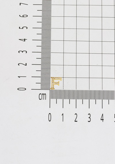 Bilezikci 14 Ayar Taşlı F Harfi Minimal Altın Küpe