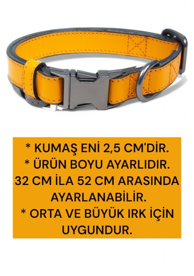 Hakiki Deri Köpek Boyun Tasması, Kişiye Özel Künyeli Lux Seri Hrd Diğer