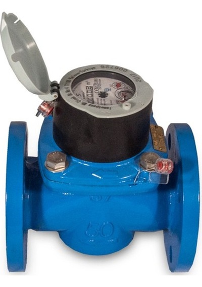 S-Meter  S-meter Wp-sdc Plus Dn50 Soğuk Su Sayacı