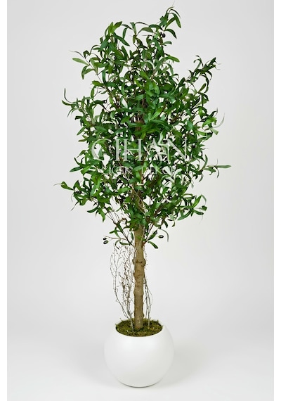 150 Cm Lüks Yapay Zeytin Ağacı - 27x33 Cm Plastik Küre Saksı Beyaz