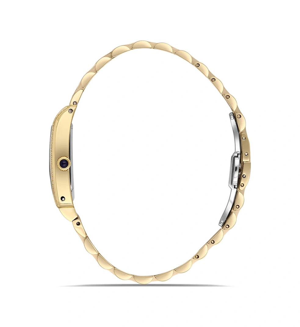 Momentus Ss365g-10sg Gold