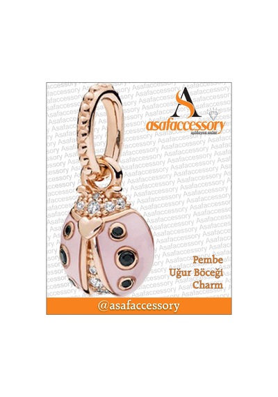 Pembe Uğur Böceği Charm Gümüş Kaplama