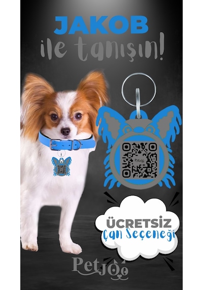 Petjoo 8.Jakob Gri-Mavi Qr'lı Köpek Künyesi