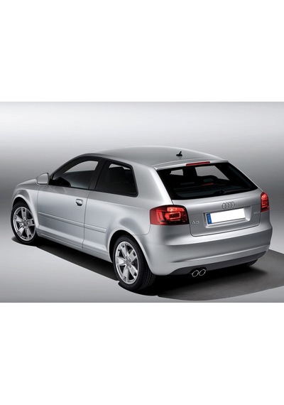 Audi A3 Tek Kapı 2009-12 Arka Bagaj Amortisörü Pistonu 8P3827552B