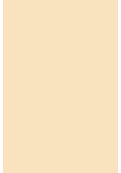 Flormar Doğal Bitişli Kapatıcı (SOĞUK ALT TON) - Stay Perfect Concealer - 001 Fair - 8682536037419