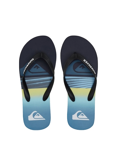 Quıksılver Quiksilver Molokai Panel Erkek Terlik Byj1 Çok Renkli