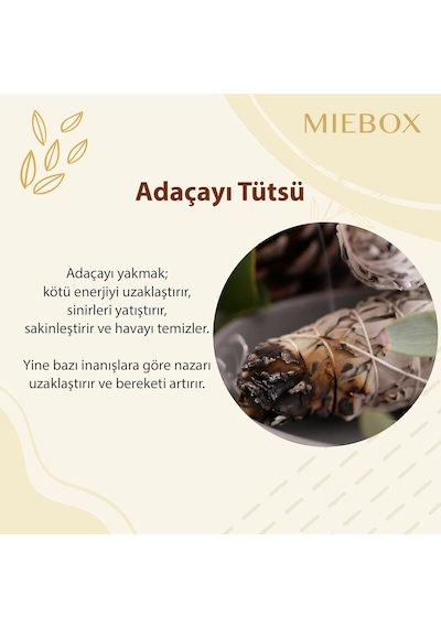 Miebox Make İt Easier Macabeli Enerji Ve Arınma Seti İncili Sedef Deniz Kabuğutütsülük + Palo Santo Tütsü + Bal