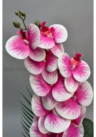 Yapay Phalaenopsi S Pembe Orki De 60 Cm Siyah