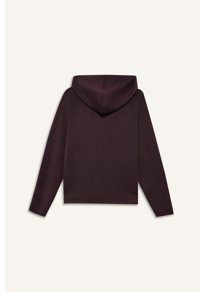 Defacto Standart Fıt Kapüşonlu Modal Sporcu Sweatshirt G5309ax26spbn277 Kahve-bn277
