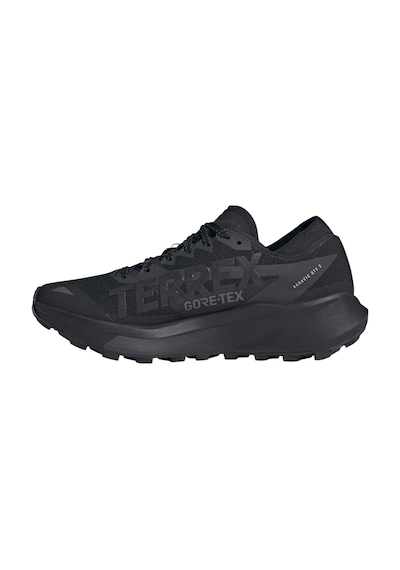Adidas Terrex Agravic Gtx 2 Erkek Siyah Koşu Ayakkabısı Hq5089