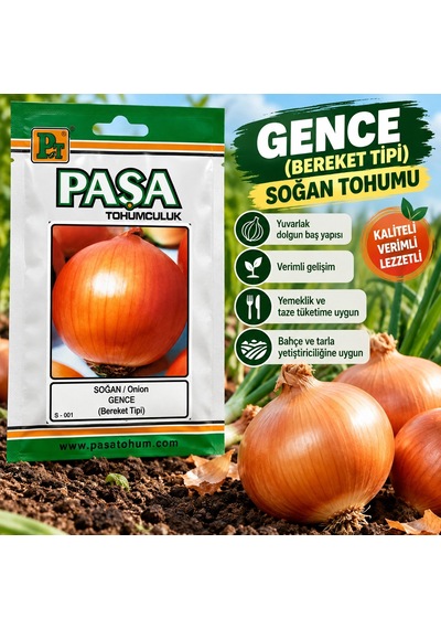 Gence Bereket Tipi Soğan Tohumu 5 Gram