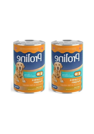Kuzu Etli Ve Bal Kabaklı Pate - Yetişkin Köpek Konservesi 395 Gr 2'li Paket 100 G