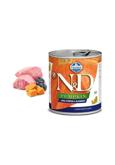 N&D Tahılsız Kuzu Etli Bal Kabaklı & Yaban Mersinli Konserve Yavru Köpek Maması 285 G
