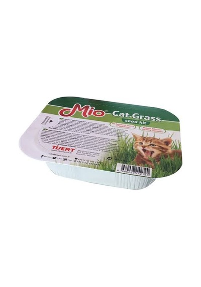 Gees Global Kedi Çimi 8 Li Gbzs