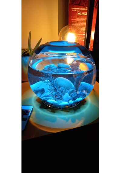 Fanus Akvaryum 3d Baskı Aydınlatma