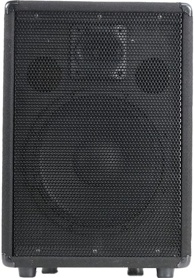 Lastvoice Lpm-10 Ahşap Profesyonel Kabin Hoparlör 10 İnç 450w
