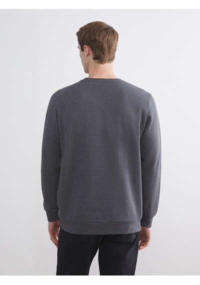 Lcw Eco Antrasit Bisiklet Yaka Baskılı Erkek Sweatshirt