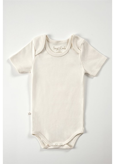 Tinylamb Buddy Bears Organik Kısa Kollu Bodysuitler 3 Adet Çok Renkli