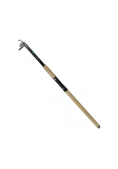 BLUE MASTER 270CM KAMIS 10-40 GR SİYAH KAPALI BOY 70CM