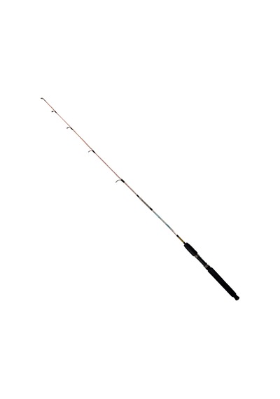 Fishpro Echo 180cm 100-250gr Tekne Kamışı