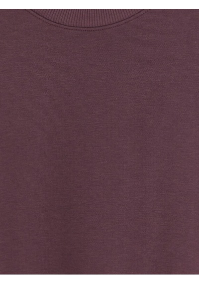 Lcwaıkıkı Classic Mürdüm Bisiklet Yaka Erkek Kalın Sweatshirt