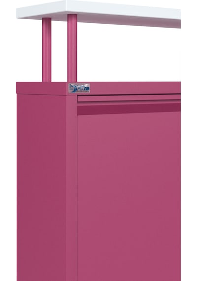 Ceha Tablalı 4'lü Metal Ayakkabılık - Pembe K.AYK-2.4/B/P 4010