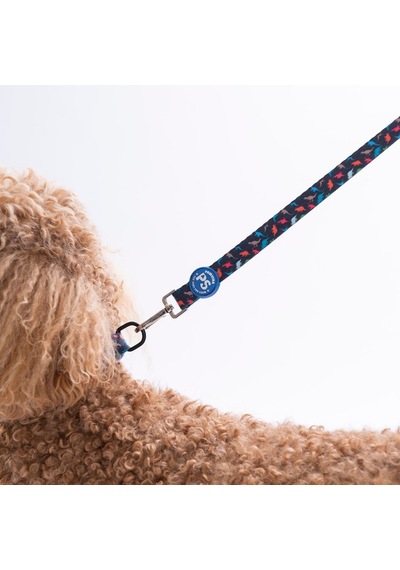 Dino Leash Kedi Köpek Sevk & Gezdirme Kayışı Köpek Uzatma Tasması-2cm Lacivert