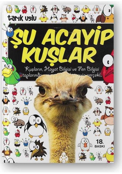 Şu Acayip Kuşlar N11.103