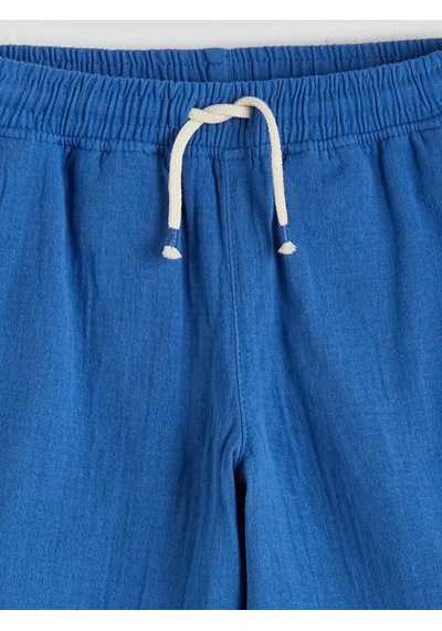 Lc Waikiki Lcw Kids Mavi Beli Lastikli Erkek Çocuk Şort Mıd Blue