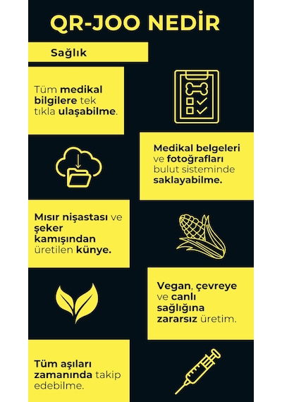 Petjoo 29.Foks Kırmızı-Sarı Qr'lı Köpek Künyesi